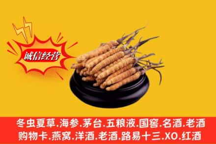 延寿县求购回收虫草多少钱每克